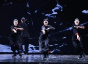 异军突起，前所未有的强大，阵容当之无愧的简单介绍