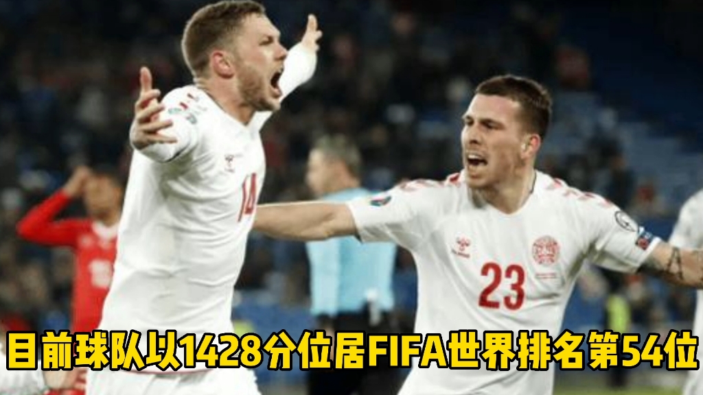 斯洛文尼亚队在欧预赛中步入正轨，雄心勃勃